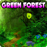 Avmgames Escape The Green Forest Walkthrough